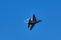 DSC_8462_thumb.jpg